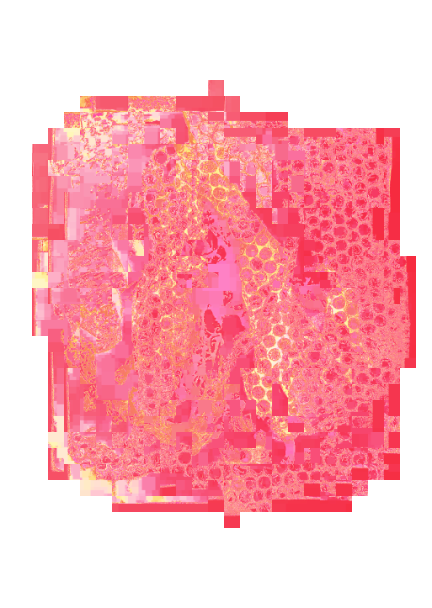 319.png