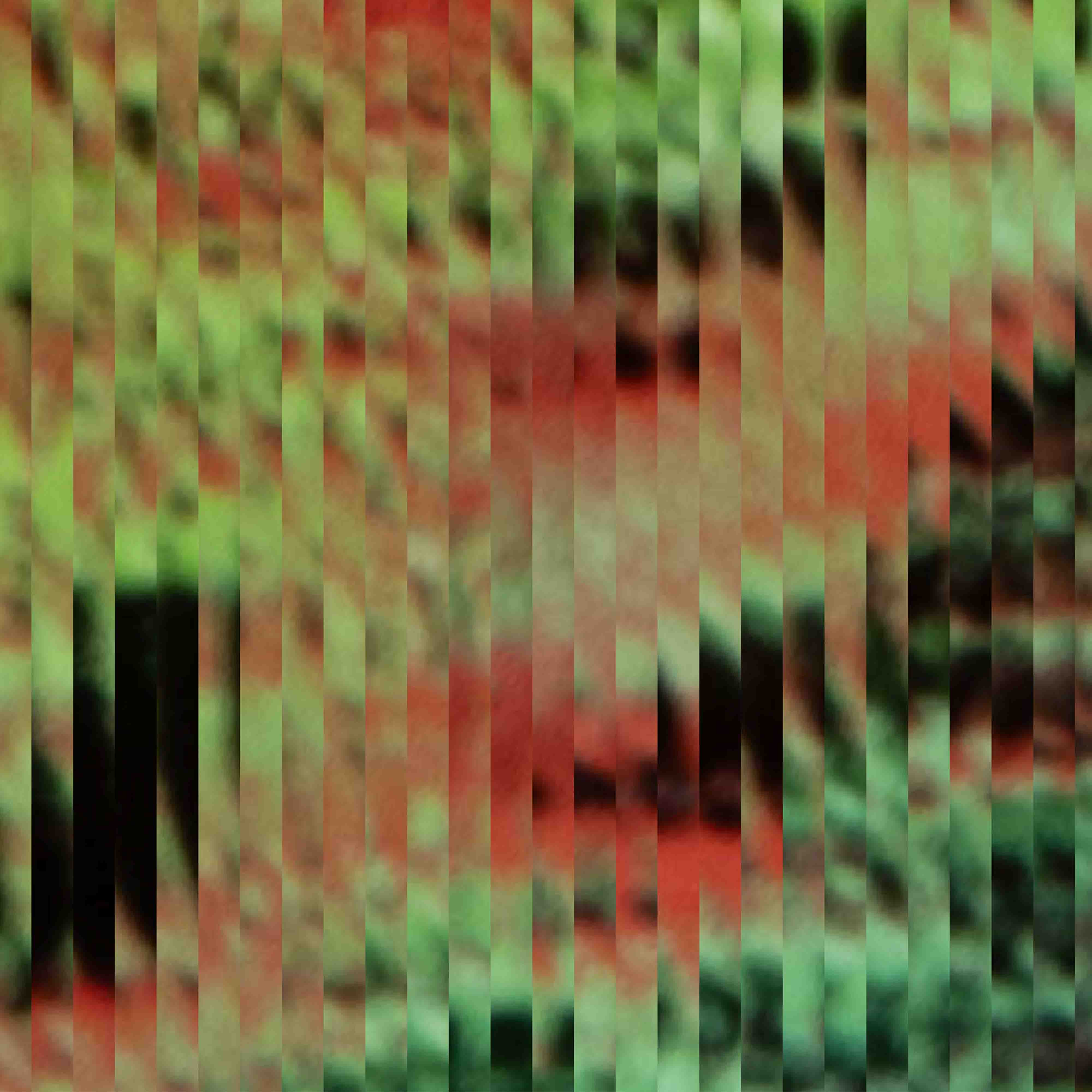 TTstripes.jpg