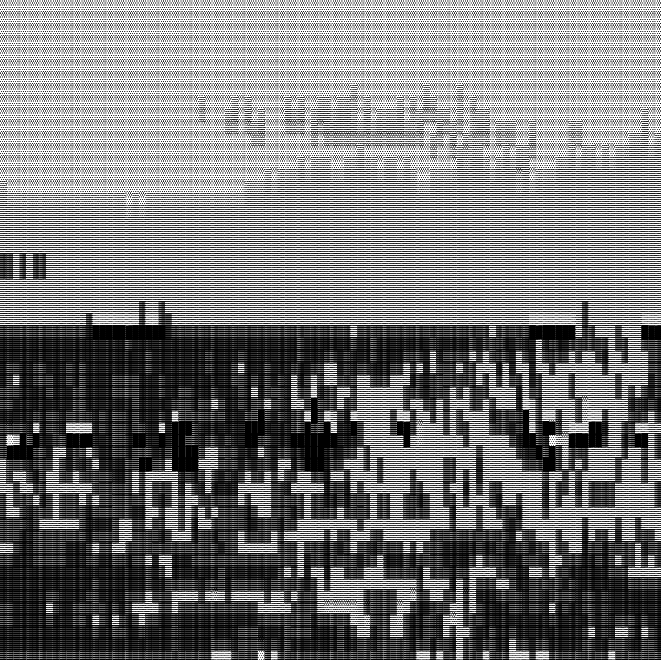 ascii-art_v1.png