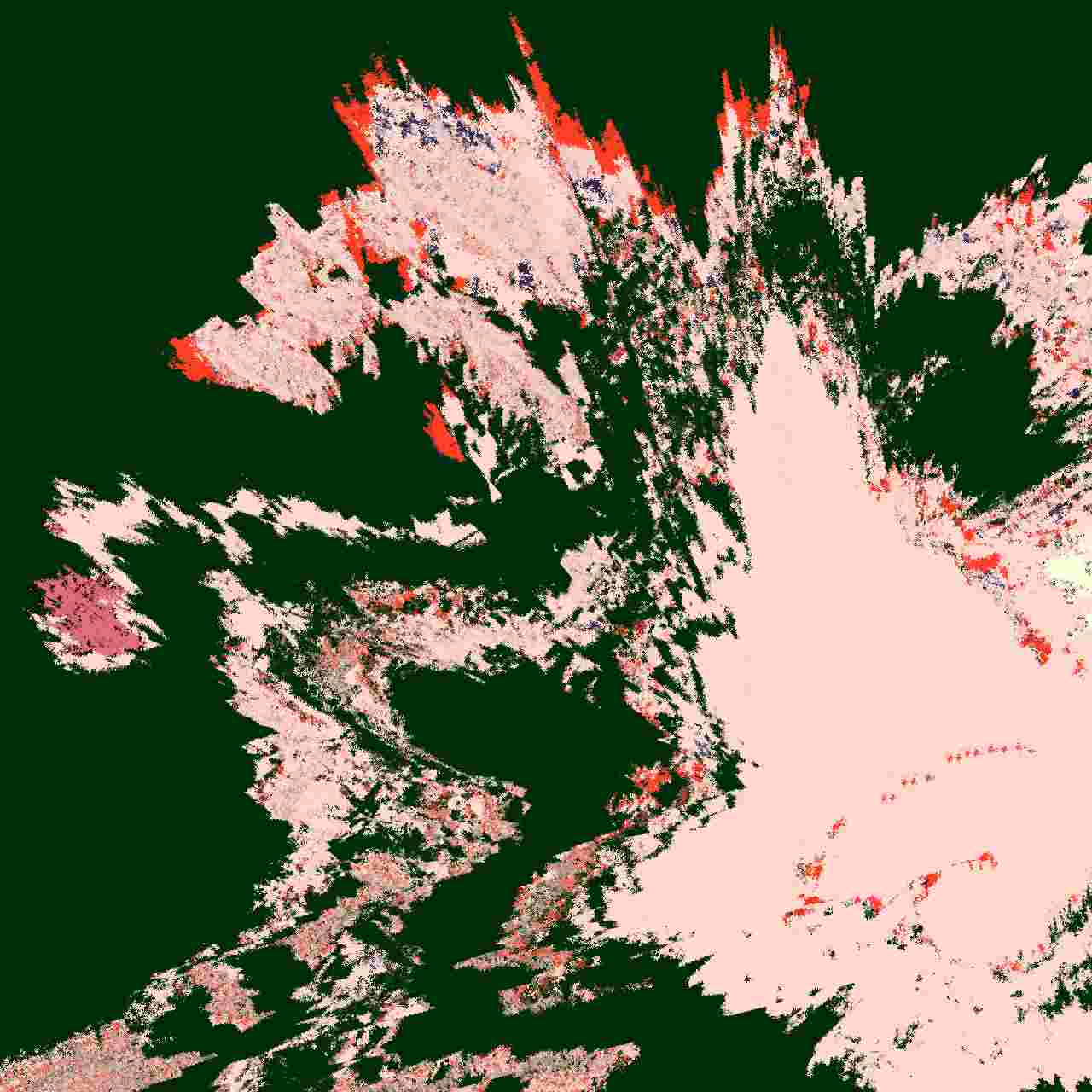 compressed-image.jpg